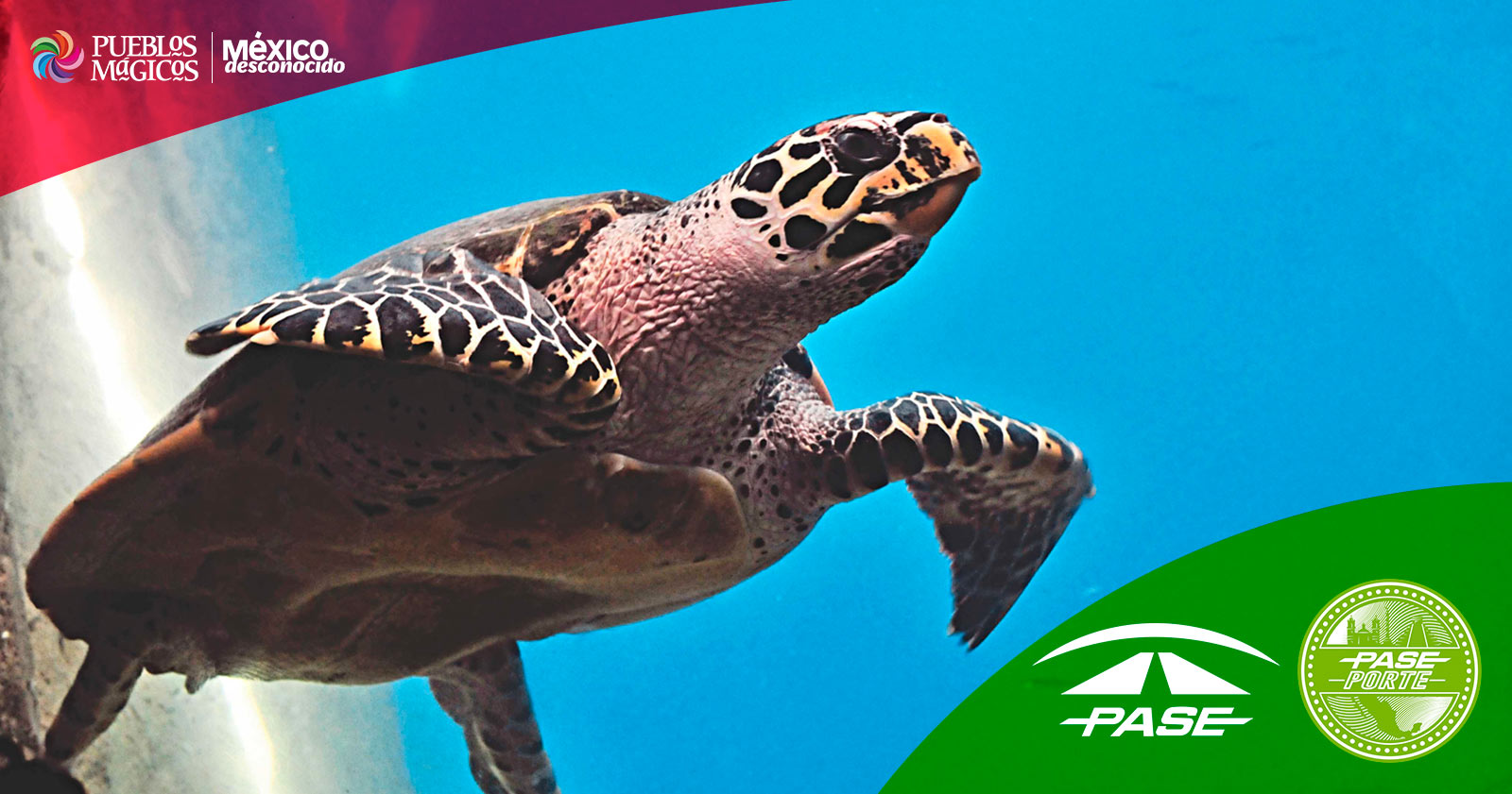 Mazunte Pueblo Mágico