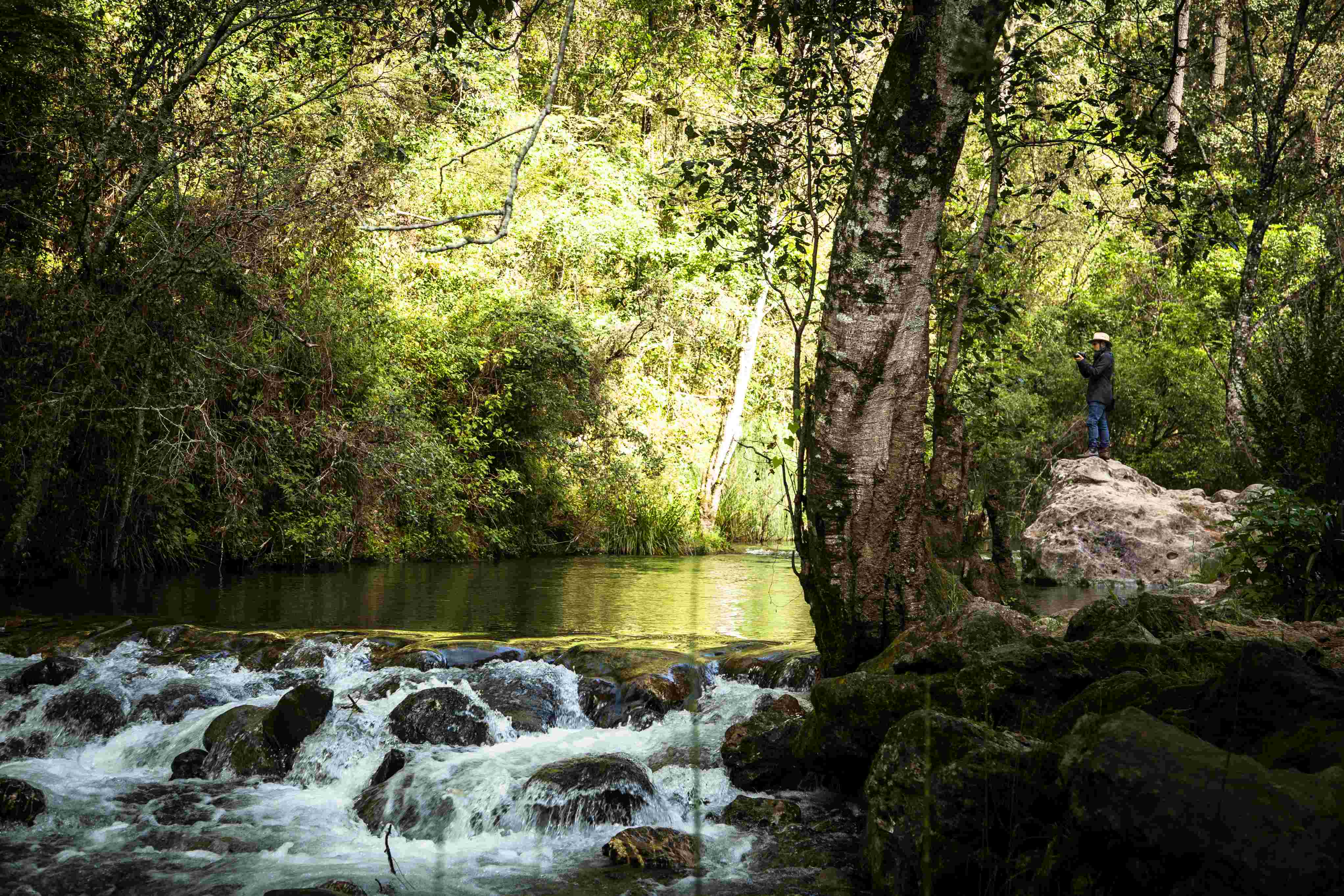 Aviéntate de la tirolesa en Parque los Molinos Capulálpam